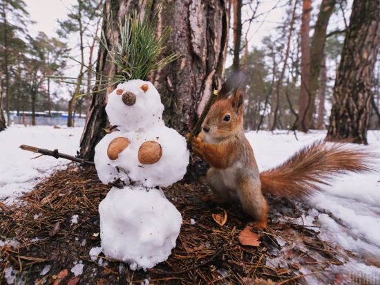 В Україні буде тепло і майже без опадів: прогноз погоди на 24 лютого