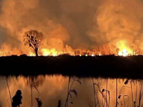 Штраф на мільйони або ув’язнення: поліція шукає винних у підпалі 