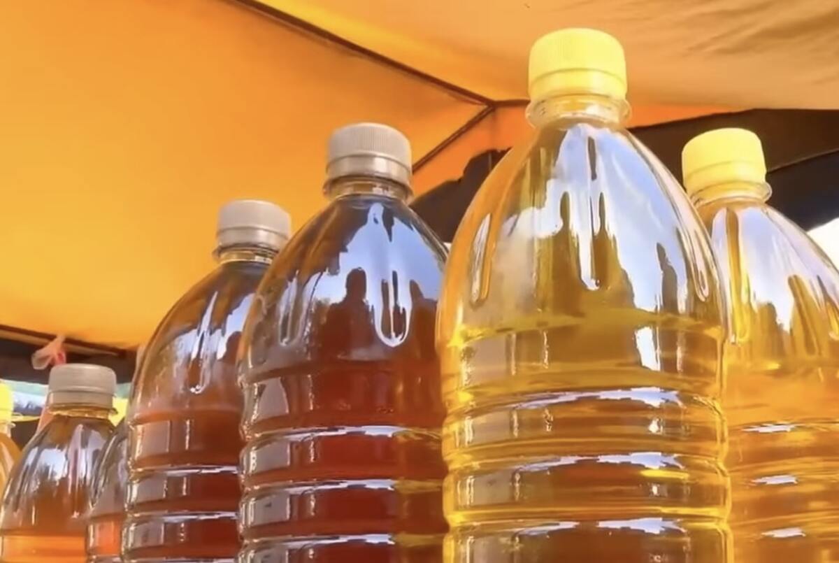 Дефіцит олії в Одеській області: що очікувати споживачам